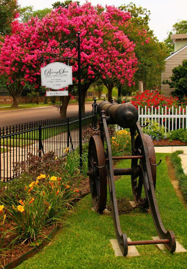 Rising Sun Bed And Breakfast Natchez Eksteriør bilde